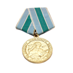 Medal for the defense of the territory of the Arctic Circle