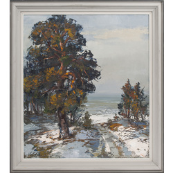 Landscape with pine