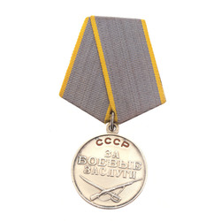 Silver Medal of merits in the battle