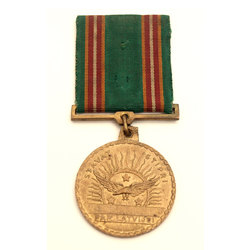 Медаль Латвийские ястребы