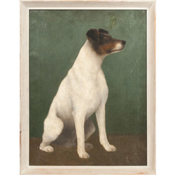 Dog - Jack Russell Terrier