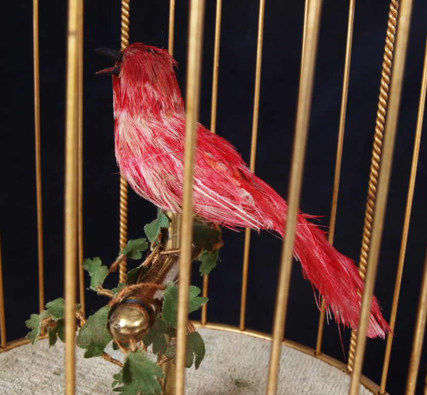 Decorative bird cage with a singing bird