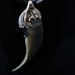 Gold pendant with diamonds and the bear's nail