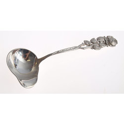 Silver spoon for sauces 