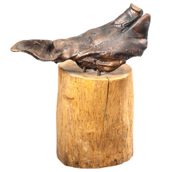 Bronze figure on wooden base 
