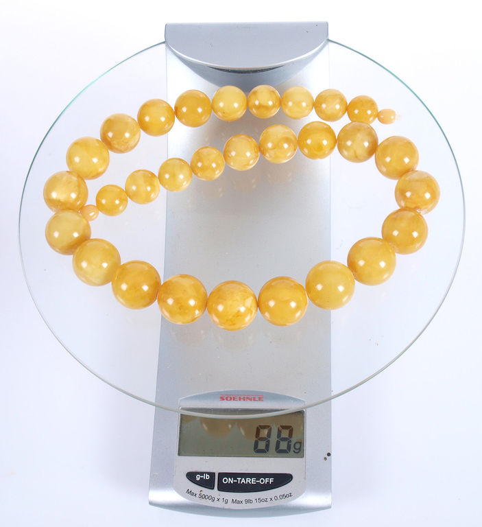 Premium Modified Egg Yolk Butterscotch Baltic amber bead necklace 