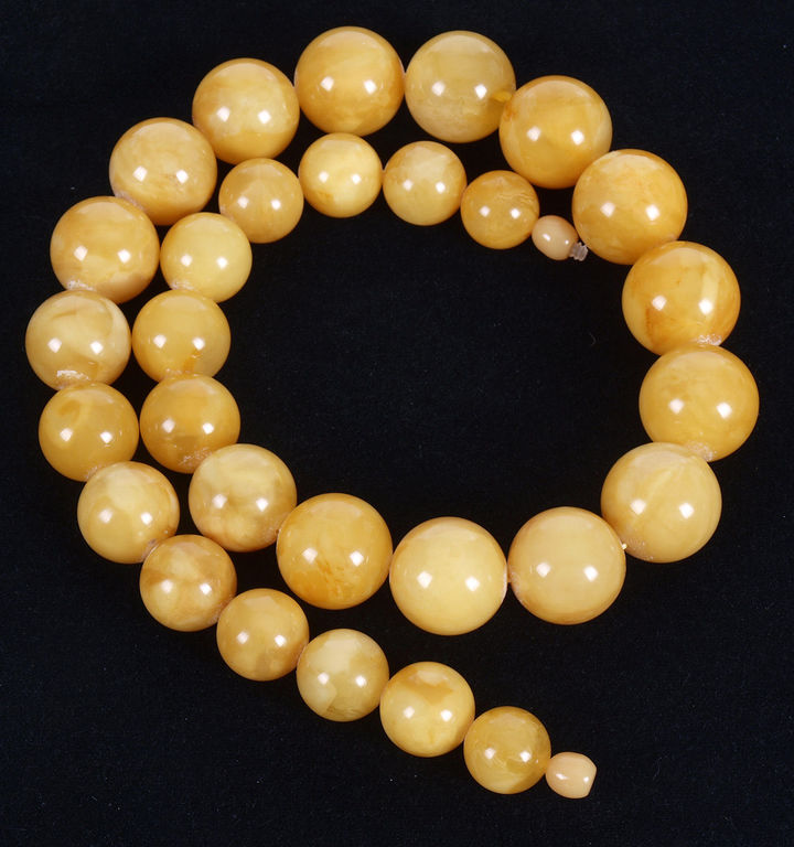 Premium Modified Egg Yolk Butterscotch Baltic amber bead necklace 