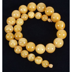 Premium Modified Egg Yolk Butterscotch Baltic amber bead necklace 