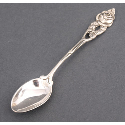 Silver spoon 