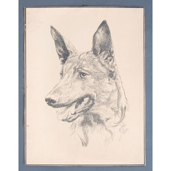 Tusas zīmējums Suns