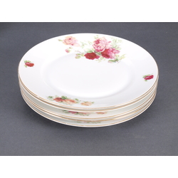 Porcelain plates 