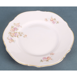 Porcelain plate 