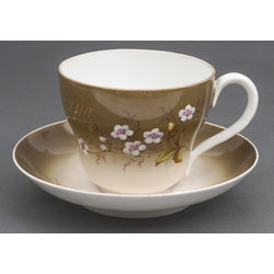 Porcelain cup with saucer