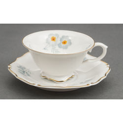 Porcelain cup with saucer