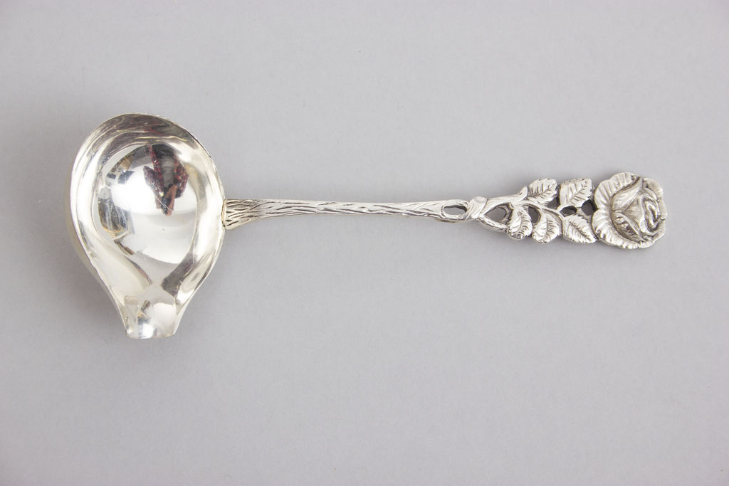 Silver sauce spoon