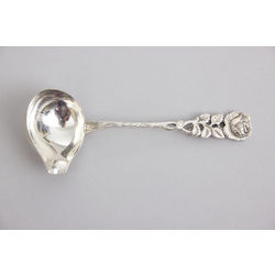 Silver sauce spoon