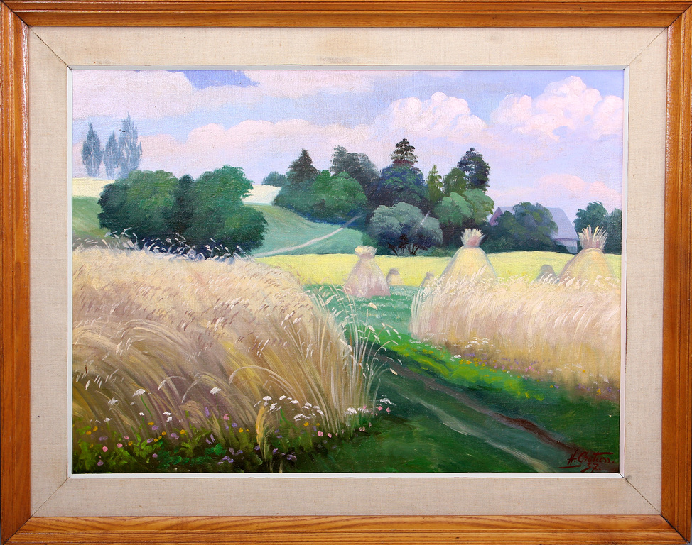 Summer landscape with a field