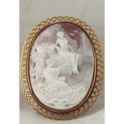 Cameo in the golden frame