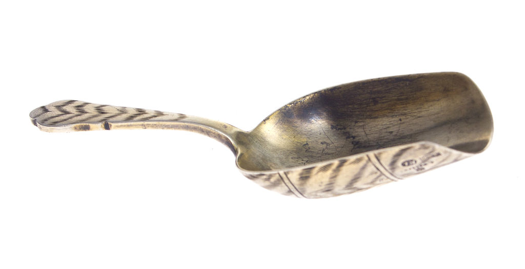 Silver spoon/spatula