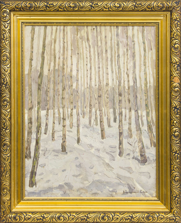 Forest in the winter