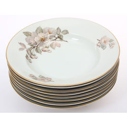 Porcelain soup plates 8 pcs.