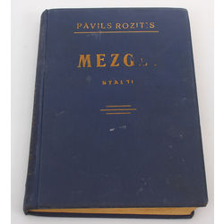 Pāvils Rozītis, Mezgli(stāsts)