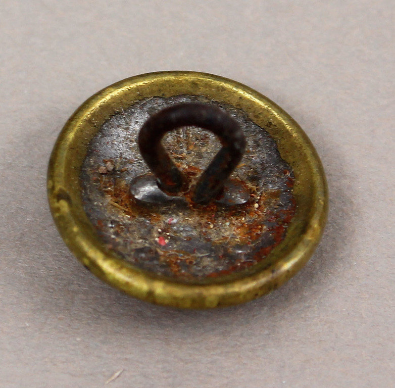 Brass button