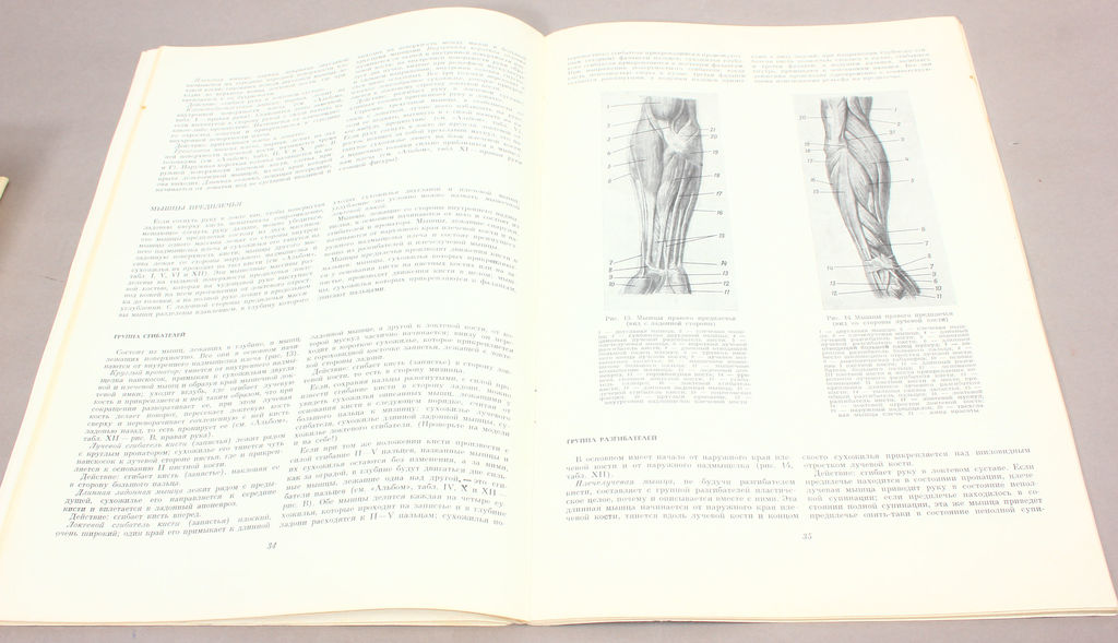 М.Ц.Рабинович, Изображение человека на основах пластической анатомии