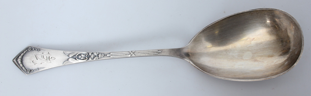 Silver spoon (large)