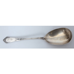 Silver spoon (large)