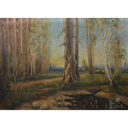 Forest landscape