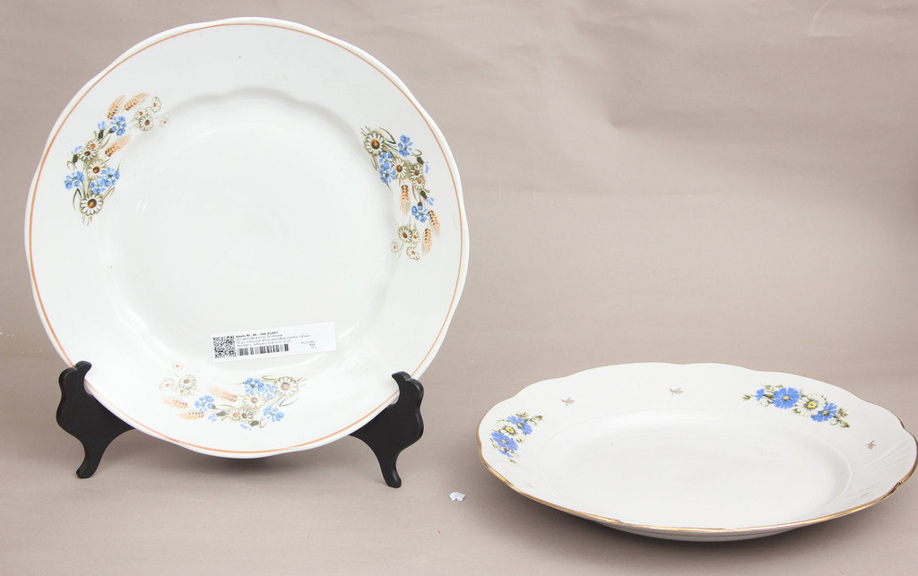 2 porcelain plates for serving