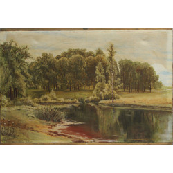 Forest landscape with a lake