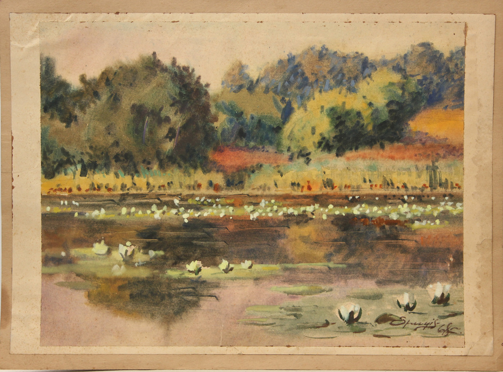 River landscape with water lilies