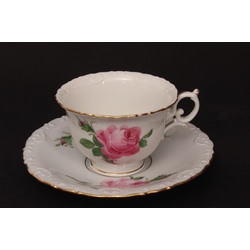 Porcelain cup with saucer