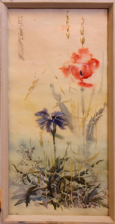 Cornflowers and poppy