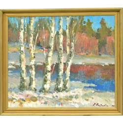 Birches in the spring