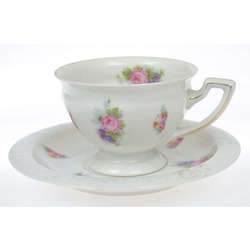 Porcelain cup and saucer