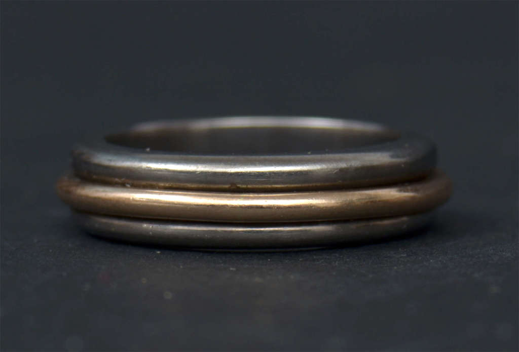 Titanium and gold ring