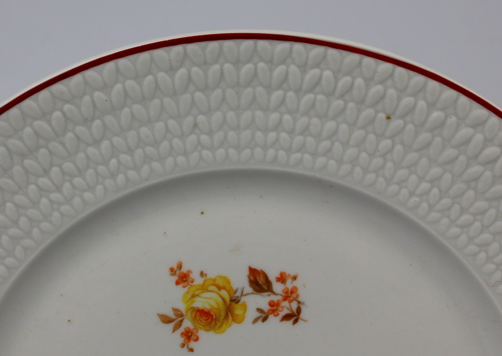 Porcelain plate