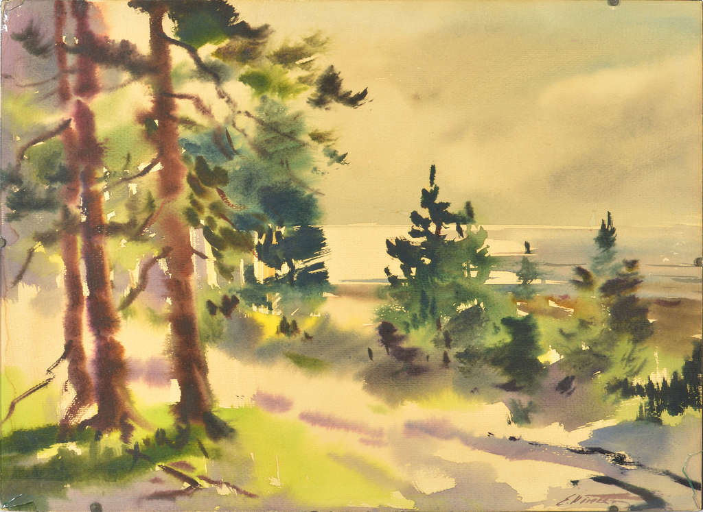 Landscape with trees and the sea