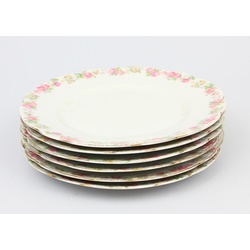 Porcelain plate set (6 pcs)