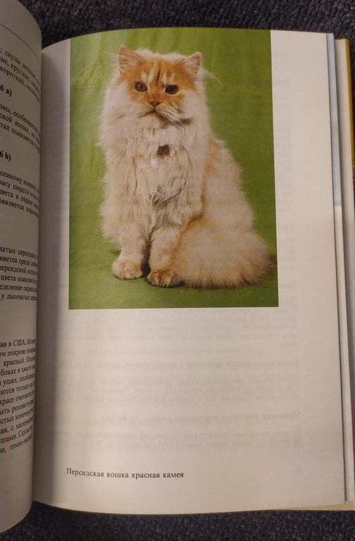 Книга  ''Атлас пород кошек''