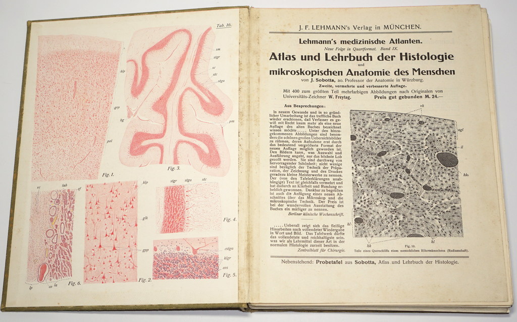 Lehmann's medizinische Atlanten (I-III sējums)