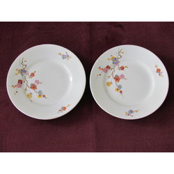 porcelain plates