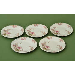 Porcelain plates (5 pcs)