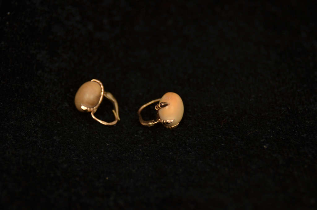 Gold brooch and earrings with coral