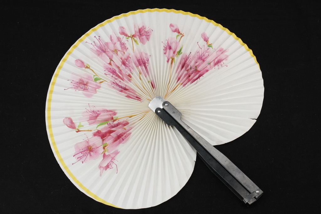 Fan with handle