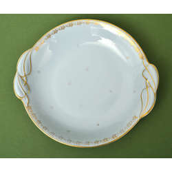 Painted porcelain plate