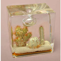 Oil lamp with cacti